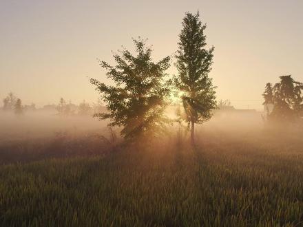 为什么我的无人机航拍要用灰蒙蒙的D log模式,因为相对于普通模式的8Bit色深支持1670万色而言,D log色彩模式的10Bit色深支持10.7亿色彩。#大疆air3