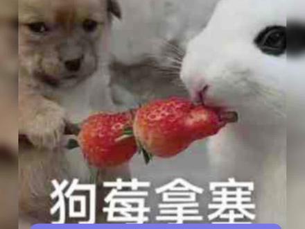 我真的受不了啦!#搞笑 #离谱 #变装 #娱乐评论大赏