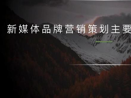 新媒体品牌营销策划包括哪些内容
