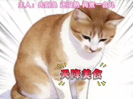 猫咪:今天的晚餐有点丰富 !#猫咪 #猫咪的迷惑行为 #搞笑 #画画 #小猫咪能有什么坏心眼