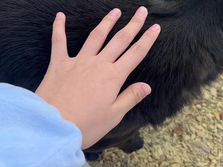 哪来的骚福瑞#福瑞控