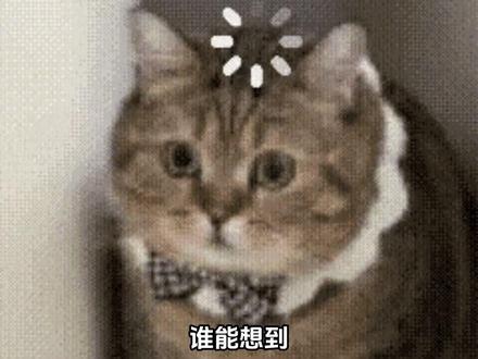 小火人真的太贴心了 #多闪app #小火人AI聊天 #多闪