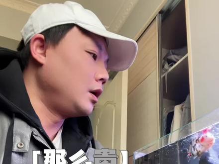 兰寿不便宜。倡导理性买鱼。这一次倒是想从我这个无脑爱买鱼的冲动买家的视角帮所有真正的良心鱼场说道说道。#兰寿#兰寿金鱼#新手养鱼#养鱼人#养鱼