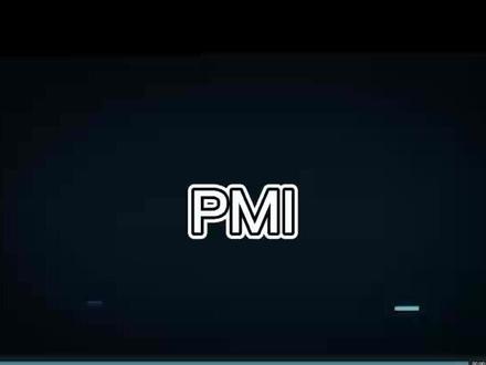 什么是PMI?