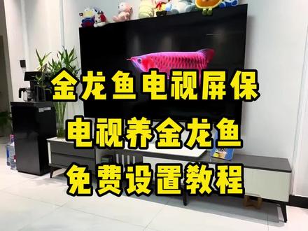 咐置龙鱼屏保叩苓 电视养鱼教程来啦#电子养鱼 #养鱼 #电视养鱼教程 #电视屏保#龙鱼电视养鱼、电子养鱼、龙鱼、金龙鱼、钓鱼、鱼、金龙鱼电视屏保教程电视、tcl电视