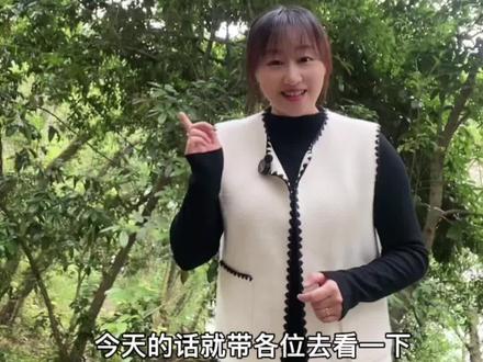 探寻仙居古迹,感受悠悠往事#导游来了 @抖音小助手