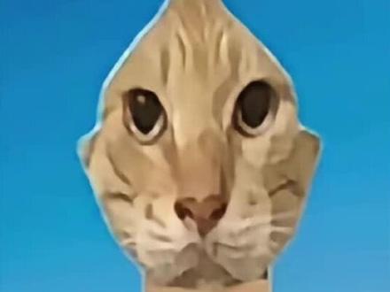 广东事业编统考会惩罚每个报名出错的笨蛋!
#广东事业编 #2026广东事业编 #广东事业编网课 #备考干货 #尤齐广东事考