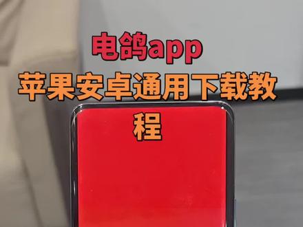 《阿胖宝库》电鸽app苹果安卓通用下载教程#实用分享 #电鸽app #下载教程#苹果安卓通用 #赚钱妙招