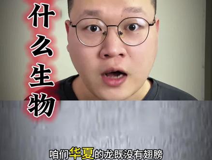 龙到底是什么生物?#奇闻异事 #大潘聊奇事 #龙 #真实生活分享计划