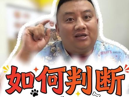 如何判断真咬人狗假咬人狗#宠物训练 #宠物训练 #宠物知识 #宠物出道计划 #宠物