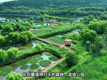 北京最值得打卡的森林/湿地公园,未来还将迎来萌萌哒大熊猫哦!#城市公园推荐 #北京大熊猫基地 #周末去哪玩