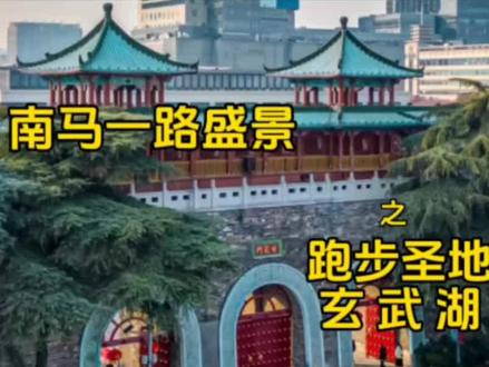 2023南京马拉松一路盛景之跑步圣地玄武湖
#南京马拉松 #马拉松 #跑步 #南京 #玄武湖