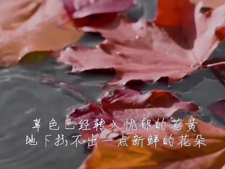 张爱玲的散文《秋雨》,有一种挽歌般的悲凉美感,文字中充满了灰色、忧郁,黯然,寥落……仿如回到民国的老上海,在黄浦江边倾听一个忧郁的小女孩的喃喃心声。张爱玲以低微的姿势仰视平淡……