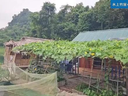 水上竹屋小娜第158集:女子离开湖面的家,上山搬运木材,赚钱