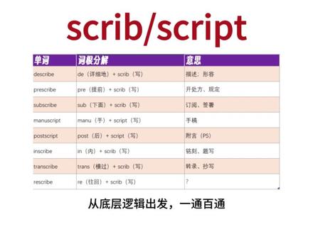 第七期:英语里所有关于“写”的单词都是这个词根 #单词速记 #英语学习打卡 #考研词汇 #雅思词汇 #英语打卡