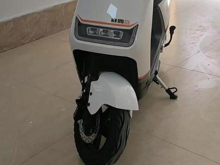 赛鸽电动车,新款到货,72/20石墨烯电池,一次充电续航100公里,不要3888,也不要2888,只需2388带回家!#同城热点 #电动车 #新国标电动车