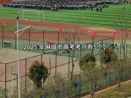 2025年高考考点出炉#高考
