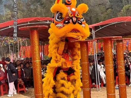 这么精彩的高桩舞狮,值得点赞支持。#高桩舞狮 #广西藤县狮王 #国家级非物质文化遗产 #非遗贺新春#抖音非遗联欢会