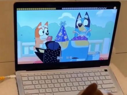 居然有专门给小狗看的动画片,你知道是什么吗?#养宠进阶指南 #养狗经验分享 #狗狗耳螨 #养狗人 #宠物健康