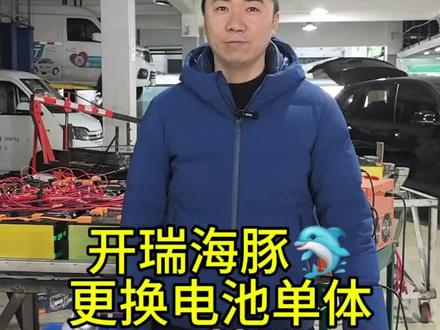 开瑞海豚ev维修电池包,跟换电池单体#续航减少 #电池鼓包 #开瑞海豚ev #南通新能源汽车维修