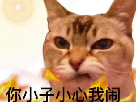 #射手座#星座解析 射手座的记仇