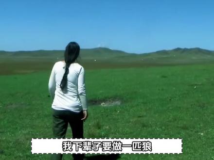 原来,爱到极致,真的可以超越物种,甚至超越人性。人类总在关系里权衡利弊、验证真心,而格林却用最原始的本能,教会了我们什么是毫无保留!#格林 #李微漪 #重返狼群 #重返狼群背后的故事