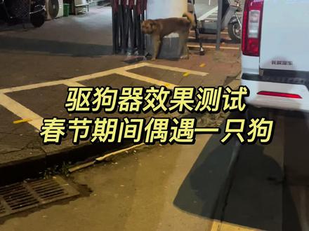 随手一按 飞奔而跑哈哈 #驱狗神器 #驱兽神器 #户外防狗咬#超声波驱狗 #抖音小热门 #儿童安全