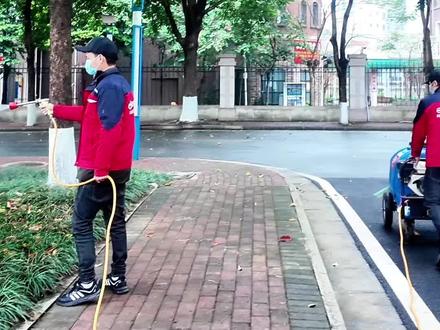 竹林为什么更容易孳生蚊子,庭院设计需谨慎选择竹子#白蚁防治培训 #消杀技术培训 #蓝博旺虫控商学院 #有害生物防治培训 #消杀资质申办