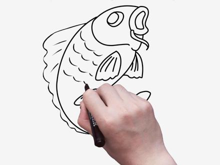 大鲤鱼简笔画#简笔画教程#鲤鱼简笔画