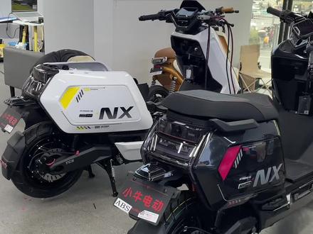 两台NX风速锂电池#小牛电动 #nx风速