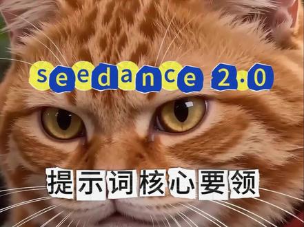 掌握seedance 2.0提示词书写核心要领,轻松掌握Ai视频生成技巧#ai教程 #即梦AI #ai创作者浪潮计划 #seedance2.0 #ai测评