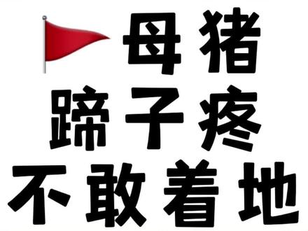 蹄叶炎和蹄裂#猪蹄叶炎