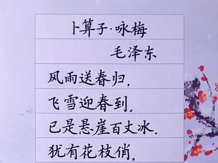 卜算子·咏梅✍️#写字是一种生活 #古风#硬笔书法#见字如面#手写文字 #传统文化