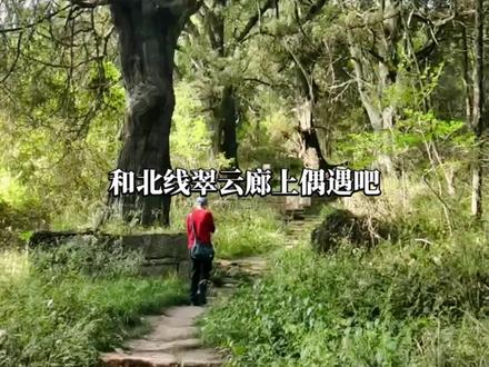 徒步“汉阳镇-普安镇”翠云廊全攻略#蜀道 #徒步