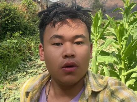 云南达摩你把我们老百姓的智商按在地上摩擦吗?#云南达摩送E300 @抖音小助手