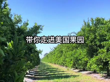 分享外国农业发展情况及相关种植技术 #美国🇺🇸