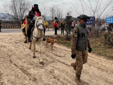 #东天山来的骆驼队 出行第110天(12月9日)从甘肃泾川牛角沟踏上长庆桥跨入陕西地界!一座桥 两道情!甘肃再见 陕西您好!