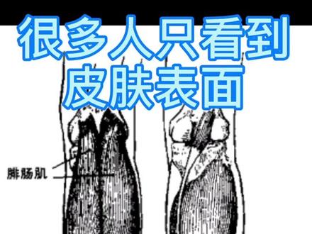 那些跟腱30cm长的,来这重新测一测🙃🙃🙃#扣篮 #普及扣篮