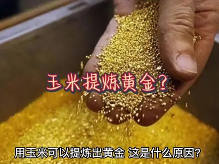#冷知识 #传递正能量
玉米能提炼出黄金!