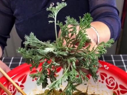 孙妈妈厨房:白蒿搓绿面教程,喜欢💕双击加关注谢谢大家