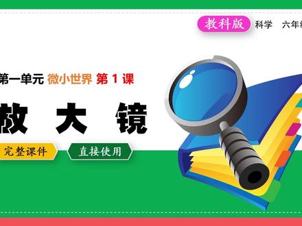 教科版科学放大镜六年级上册PPT公开课课件 #放大镜 #科学公开课 #科学PPT #小学科学 #科学课件