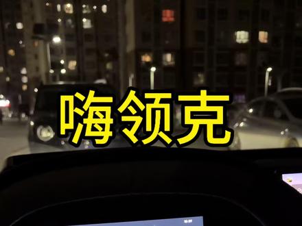 嗨领克!关闭全部灯光 大家引以为戒,测试一下自己的车辆,最重要的是学会功能逻辑,危险时刻临危不乱#领克Z20 #特斯拉 #新能源领航计划 #领克汽车 #超棒发声 #2026懂车帝抖音汽车达人嘉年华 #2026懂车帝抖音星光音乐节