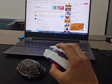 把一只乌龟做成一个鼠标,手感还不错~ #数码 #鼠标 #DIY #搞笑