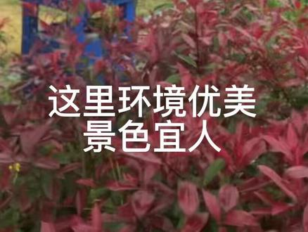 百岛湖水产园(乌木绿水竹对面)开放垂钓。可路亚可台钓#钓鱼的乐趣只有钓鱼人懂 #原来钓鱼才是抖音运动顶流