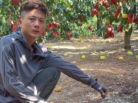 #真实户外 眼镜王颜色辨别 驱蛇粉雄黄