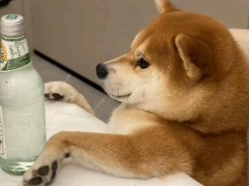 上岸第一剑 先斩意中人#上岸第一剑 #情感共鸣 #人生感悟