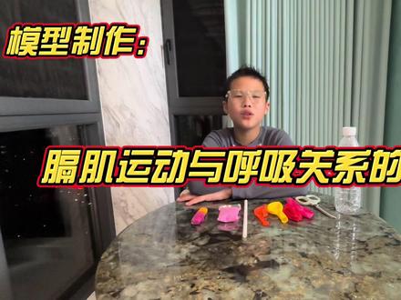 制作膈肌运动与呼吸关系的模型#生物实验