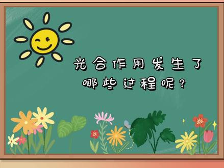 光合作用的过程#生物 #高考 #教育