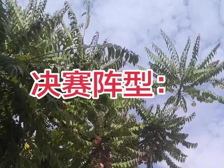 上个其他前锋替换拜合拉木吧,如果没有其他前锋,就上个后卫吧。我建议选出队内速度最快的替补,让他恶补射门,替换拜赫拉姆。