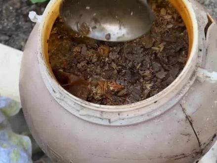 为什么东西腐烂后会长蛆?这些蛆虫是从哪里来的?难道它们会凭空产生吗?#科普一下 #冷知识 #每天跟我涨知识 #奇妙的动物 #科普知识